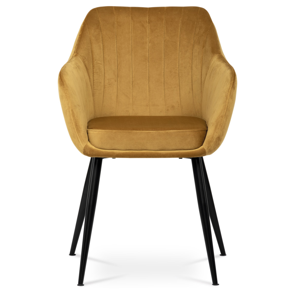 PIKA YEL4 - Jídelní židle, potah žlutá matná sametová látka, kovové nohy, černý matný lak